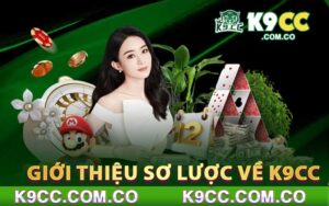 Giới thiệu sơ lược về K9cc