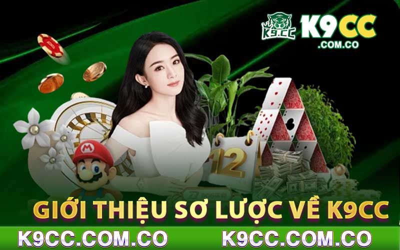 Giới thiệu sơ lược về K9cc